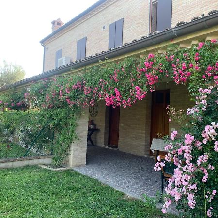 Guest House Vagamondo Fano Exterior foto